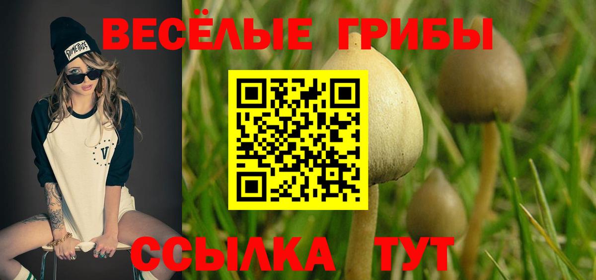 Псилоцибиновые грибы ЛСД Саров